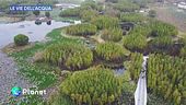 Le Vie dell'Acqua - Città spugna