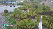 Le Vie dell'Acqua - Città spugna