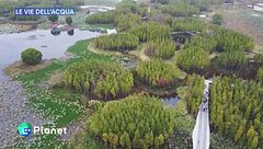 Le Vie dell'Acqua - Città spugna