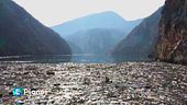 Sempre più reati contro l'ambiente