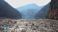 Sempre più reati contro l'ambiente
