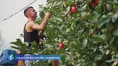 Caldo: un rischio per i lavoratori
