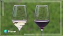 Il vino ai tempi del climate change
