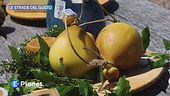 Le Strade del Gusto: pastorizia nelle Madonie