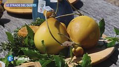 Le Strade del Gusto: pastorizia nelle Madonie