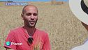 Le Strade del Gusto: il grano delle Madonie