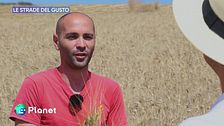 Le Strade del Gusto: il grano delle Madonie