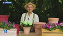 E-Garden: la coltivazione nei vasi