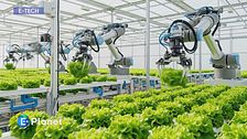 E-tech - Agricoltura idroponica