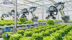 E-tech - Agricoltura idroponica