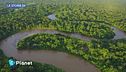 La perdita della natura intorno a noi