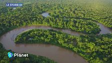 La perdita della natura intorno a noi