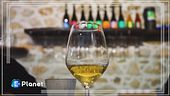 Custodi del vino e della natura