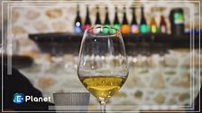 Custodi del vino e della natura