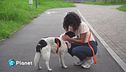 Conoscere i cani