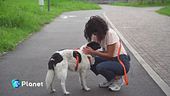 Conoscere i cani