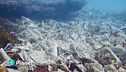 Come le salviette inquinano il mare