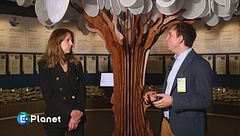 il cibo di ieri, oggi e domani