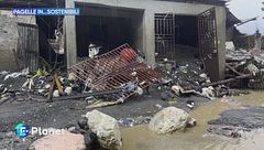 Pagelle in...sostenibili