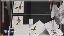 Scienza e storia delle piante