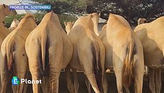 Pagelle in...sostenibili