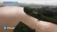 Pagelle in...sostenibili