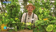 E-Garden: il Photos