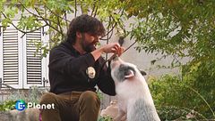 Un rifugio per animali liberi