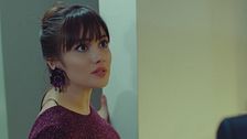 Episodio 33