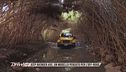 Nuova Jeep Avenger 4xE tra città e off-road