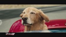 Gare da Film: Attraverso i miei occhi