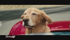 Gare da Film: Attraverso i miei occhi