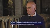 Dazi, i timori dei produttori di vino