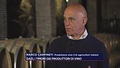 Dazi, i timori dei produttori di vino