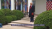Trump spaventa, Musk suggerisce zero dazi all'Europa