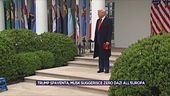Trump spaventa, Musk suggerisce zero dazi all'Europa