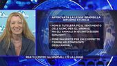 Reati contro gli animali, c'è la legge: parla Michela Vittoria Brambilla