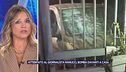 Attentato al giornalista Sigfrido Ranucci, bomba davanti a casa