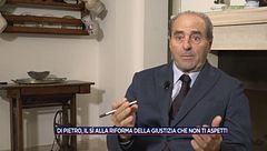 Di Pietro, il sì alla Riforma della giustizia che non ti aspetti
