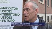 Cottarelli: "Hormuz? Mesi per tornare alla normalità"