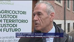 Cottarelli: "Hormuz? Mesi per tornare alla normalità"
