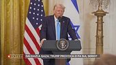 I muscoli di Donald Trump