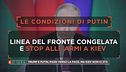 La Pace secondo  Vladimir Vladimirovic Putin