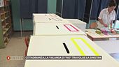 Tutti i dati di un discusso referendum