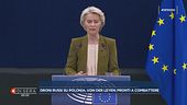 Lo stomaco di Ursula von der Leyen