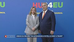 Il ruolo del Governo italiano