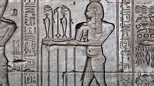 Ep. 7 - Antiche città e creature tenaci