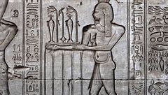 Ep. 7 - Antiche città e creature tenaci