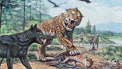 Ep. 8 - Tombe senza tempo e sopravvissuti moderni