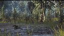 Ep. 10 - Il lago di ghiaccio: Il fenomeno inspiegabile di Sainte-Anne